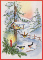 Feliz Año Navidad PÁJARO Vintage Tarjeta Postal CPSM #PBM595.ES - Neujahr