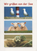 RAM Animaux Vintage Carte Postale CPSM #PBS589.FR - Autres & Non Classés