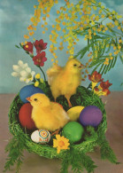 PÂQUES POULET ŒUF Vintage Carte Postale CPSM #PBO726.FR - Easter