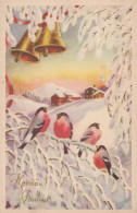 Happy New Year Christmas BIRD Vintage Postcard CPA #PKE859.GB - Nieuwjaar