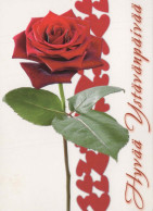 FLOWERS Vintage Postcard CPSM #PBZ860.GB - Blumen