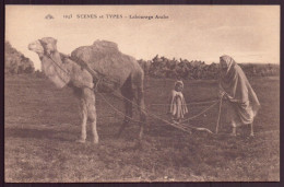 ALGERIE LABOURAGE ARABE - Scene & Tipi