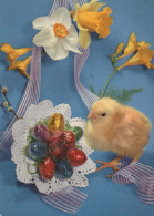 EASTER CHICKEN EGG Vintage Postcard CPSM #PBP164.GB - Pasqua