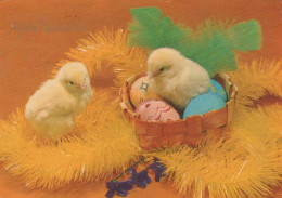 EASTER CHICKEN EGG Vintage Postcard CPSM #PBO912.GB - Pâques