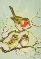 Happy New Year Christmas BIRD Vintage Postcard CPSM #PBM594.GB - Nieuwjaar