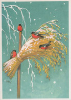 Happy New Year Christmas BIRD Vintage Postcard CPSM #PBM654.GB - Nieuwjaar