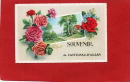 32---SOUVENIR DE CASTELNAU-d'AUZAN---voir 2 Scans - Other & Unclassified