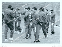 Fo2181 Foto Originale Torino Calcio Giocatori Durante L'allenamento - Autres & Non Classés