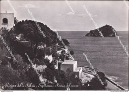 Bh685 Cartolina Spotorno Poesia Del Mare Provincia Di Savona Liguria - Savona