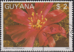 1988 Guyana ⵙ Agenturausgabe, Mi:GY 2091, Sn:GY 1866h, Yt:GY 1769, Lobivia Polycephala, Fauna Und Flora - Guyane (1966-...)