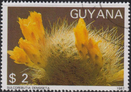 1988 Guyana ⵙ Agenturausgabe, Mi:GY 2088, Sn:GY 1866e, Yt:GY 1769MN, Sulcorebutia Densiseta, Fauna Und Flora - Guyana (1966-...)