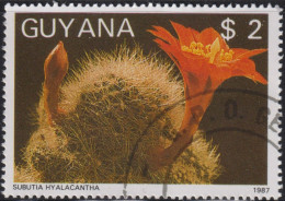 1988 Guyana ⵙ Agenturausgabe, Mi:GY 2089, Sn:GY 1866f, Yt:GY 1769MP, Subutia Hyalacantha, Fauna Und Flora - Guyana (1966-...)