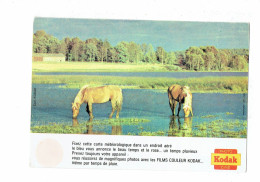 Publicité KODAK PHOTO - CARTE SYSTÈME MÉTÉOROLOGIQUE - Chevaux - - Publicité