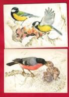 AF271-OISEAUX MESANGES BLEUES ET LEURS OISILLONS ET BOUVREUIL ET OISILLONS AU NID DESSIN LOT E 2 CARTES POSTALES - Oiseaux