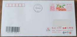 China Cover "Yantai Big Cherry" (Yantai) Colored Postage Machine Stamp First Day Actual Shipping Seal - Covers