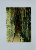 Baume-les-Messieurs (39) : Couloir D'entrée Des Grottes - Baume-les-Messieurs