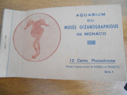 10 CARTES PHOTOCHROME CARNET  - AQUARIUM DU MUSÉE OCÉANOGRAPHIQUE DE MONACO - Fische Und Schaltiere