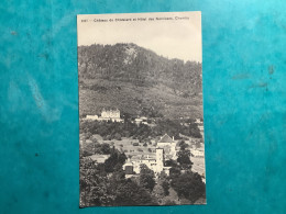 Suisse Château Du Chatelard Et Hôtel Des Narcisses Chamby - Sonstige & Ohne Zuordnung