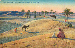 Paysage Saharien Au Desert Scenes Et Types - Afrika