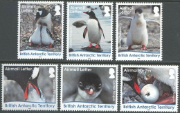 ARCTIC-ANTARCTIC, BRITISH ANTARCTIC T. 2016 PENGUINS** - Fauna Antártica