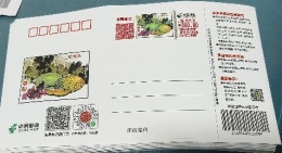 China Self Service Lottery Package 2024-18 Xinjiang Hami Melon TS71 - Enveloppes