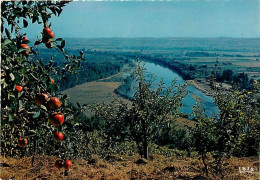 Lot Et Garonne - Verger De La France - Andere & Zonder Classificatie