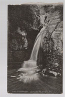 CPA - 38 - N°58 - Sassenage - Cascade Du Gouffre Bleu - Non Circulée - Sassenage