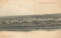 ENVIRONS DE LUNEVILLE PETTONVILLE VUE GENERALE - Autres & Non Classés