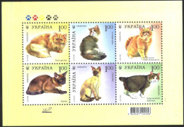 Mint S/S Fauna  Cats 2008  From Ukraine - Domestic Cats