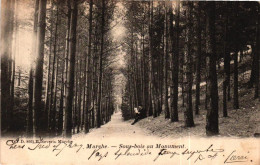 MARCHE EN FAMENNE / SOUS BOIS AU MONUMENT 1902 - Marche-en-Famenne