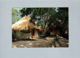 Sénégal : Auberge Des Coquillages - Sénégal