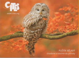 Strix Uralensis, Owl, Bird,  CITES Nature Protection Agency, Czech Republic,  2016 - Klein Formaat: 2001-...