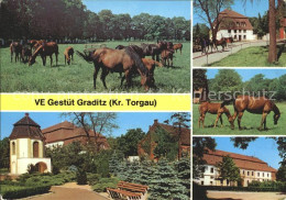 72061743 Graditz Pferdegestuet Graditz - Torgau