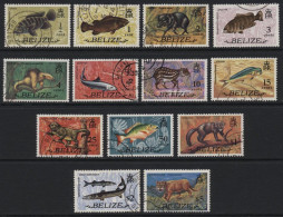 Belize (B01) 1973 Birds Set. Used. Hinged. - Belice (1973-...)