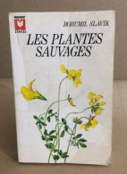 Les Plantes Sauvages / Illustrations En Coylurs - Garden