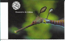 Portugal , Oceanário De Lisboa Ticket , Oceanarium , Seahorse - Tickets - Entradas