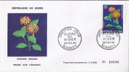 NIGER N° 137 S/L. DE NIAMEY/26.2.64 - Níger (1960-...)