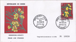 NIGER N° 135 S/L. DE NIAMEY/26.2.64 - Niger (1960-...)