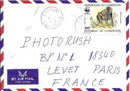 CAMEROUN N° 825 S/L.DIVERSES DE 1989 POUR LA FRANCE - Cameroun (1960-...)