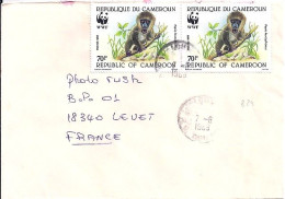 CAMEROUN N° 824x2 S/L.DE YAOUNDE/7.6.89 POUR LA FRANCE - Camerún (1960-...)