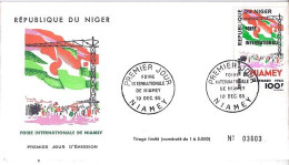 NIGER N° PA53 S/L. DE NIAMEY/10.12.65  - Níger (1960-...)