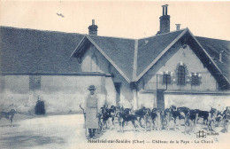 18-MENETREOL-SUR-SAULDRE- CHATEAU DE LA FAYE -LE CHENIL - Andere & Zonder Classificatie