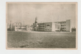 Romania - Sibiu Hermannstadt Nagyszeben - Scoala Normala Andrei Saguna Construction And Architecture High School Lycee - Roumanie