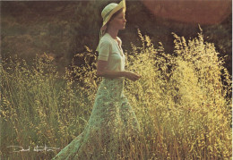 Photographe David Hamilton Carte Postale CPM  Jeune Femme Dans Un Champ Champs - Altri & Non Classificati