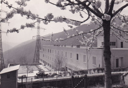 Le Brézou L'Hôtel - L'Auvergne -  Photo Mur De Barrez (Aveyron 12) - Rare - Andere & Zonder Classificatie