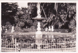 Photo Originale - South Africa - Afrique Du Sud - 1941 - CAP TOWN - LE CAP - The Lilly Pond - Places