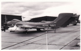 Photo Originale - Airplane - Plane - Aviation - Militaria - Avion De Chasse De Havilland Sea Vixen - Aviation