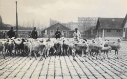 CPA. [75] > PARIS > Marché Aux Bestiaux De La Villette - Troupeau De Moutons - (XIXe Arrt.) - TBE - Arrondissement: 19