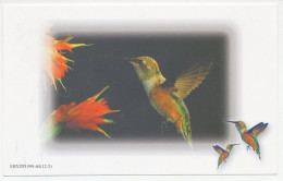 Postal Stationery China 1999 Bird - Hummingbird - Otros & Sin Clasificación