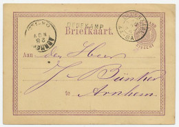 Naamstempel Denekamp 1876 - Storia Postale